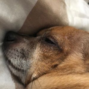 Meet your Posher, Brianne